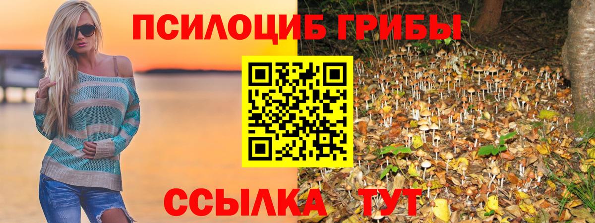 Галлюциногенные грибы MAGIC MUSHROOMS Верхний Уфалей