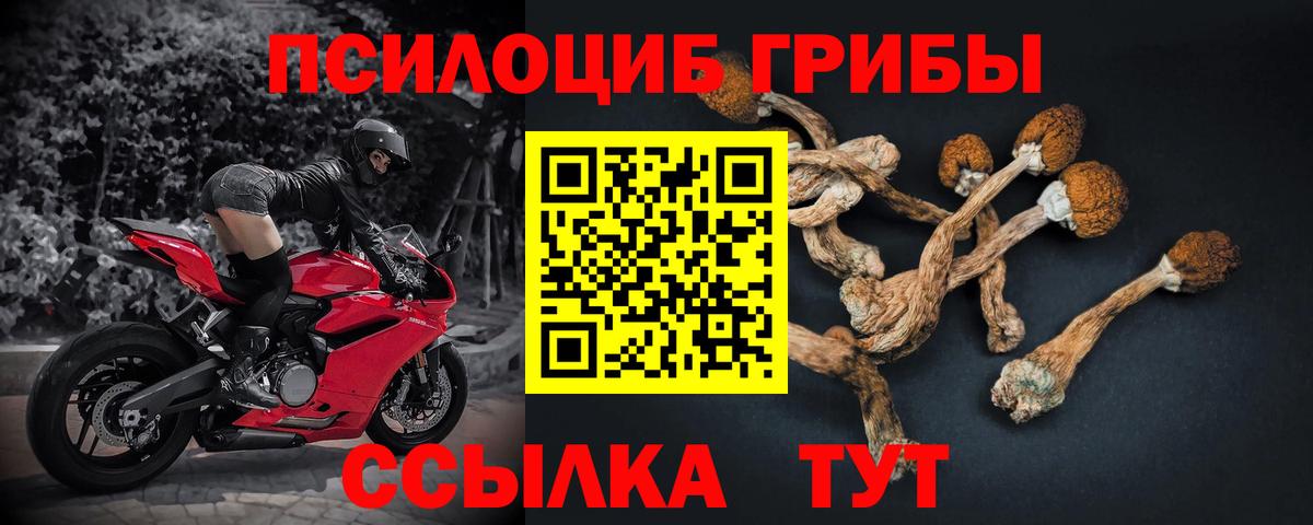 Верхний Уфалей  купить наркотик  Вход с VPN  Псилоцибиновые грибы MAGIC MUSHROOMS 